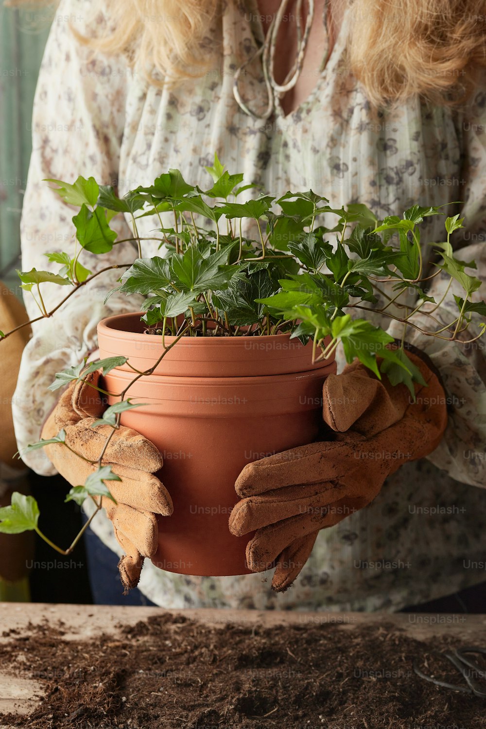Une femme tenant une plante en pot dans ses mains