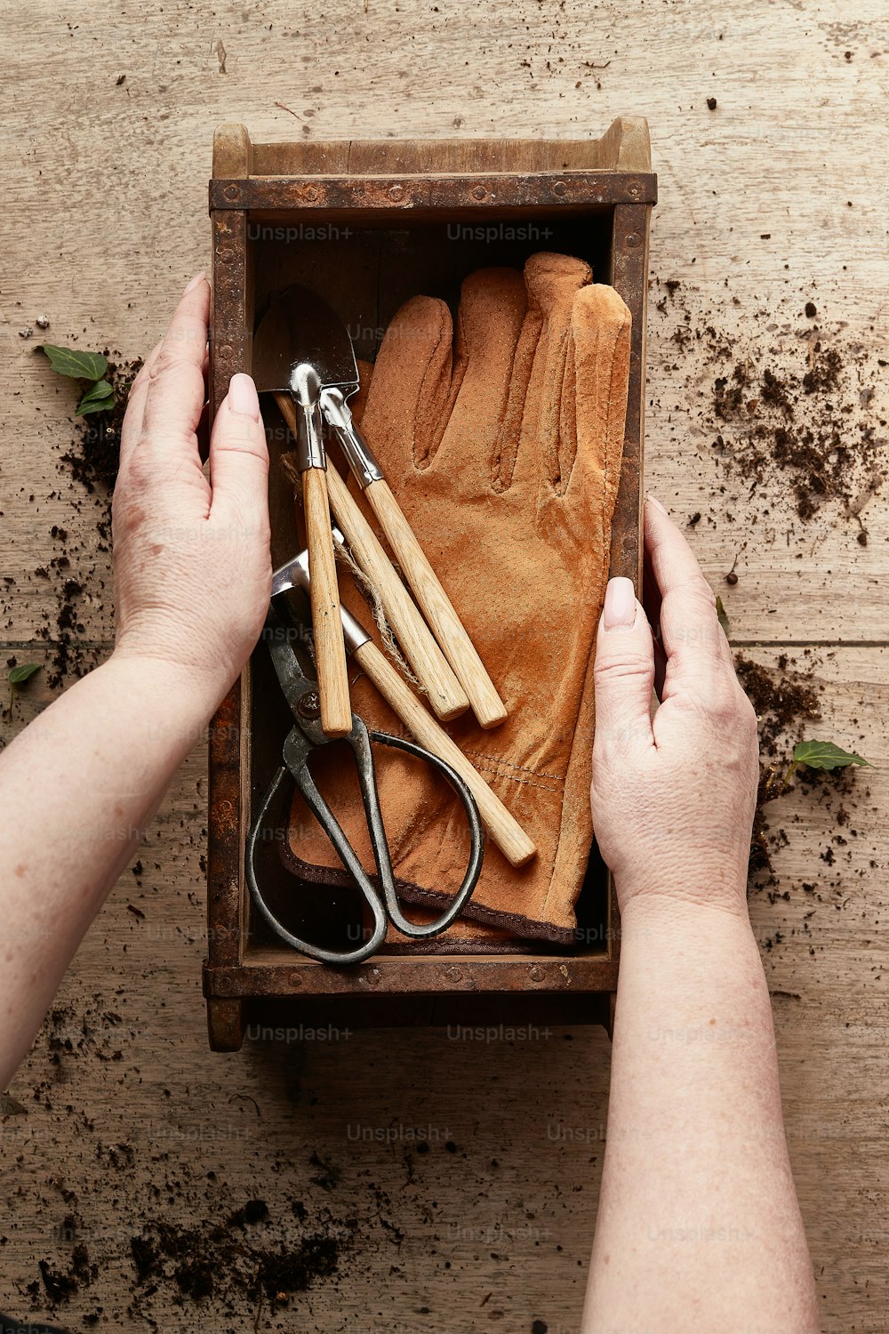 une paire de mains tenant une boîte d’outils de jardinage