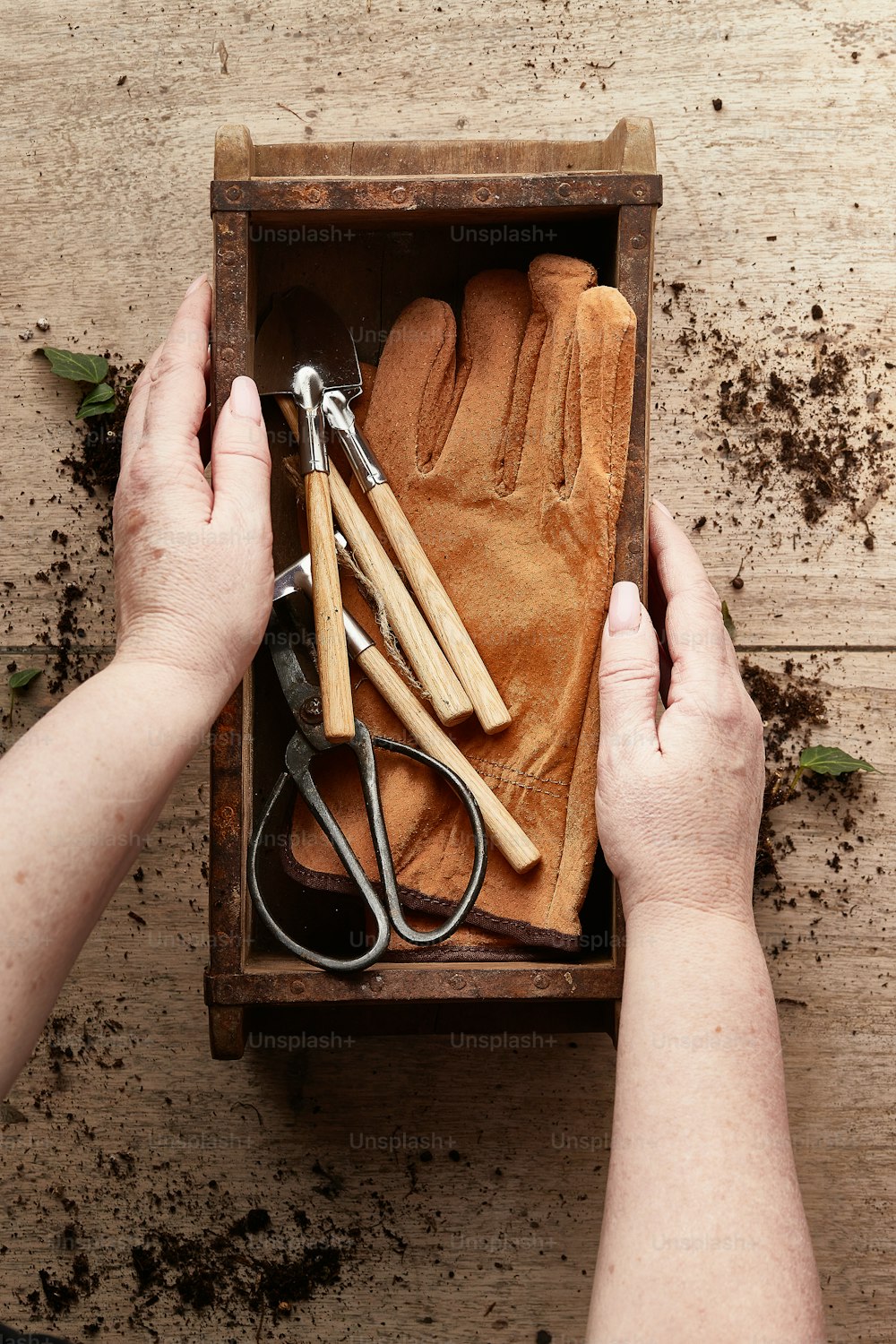 a pair of hands holding a box of gardening tools