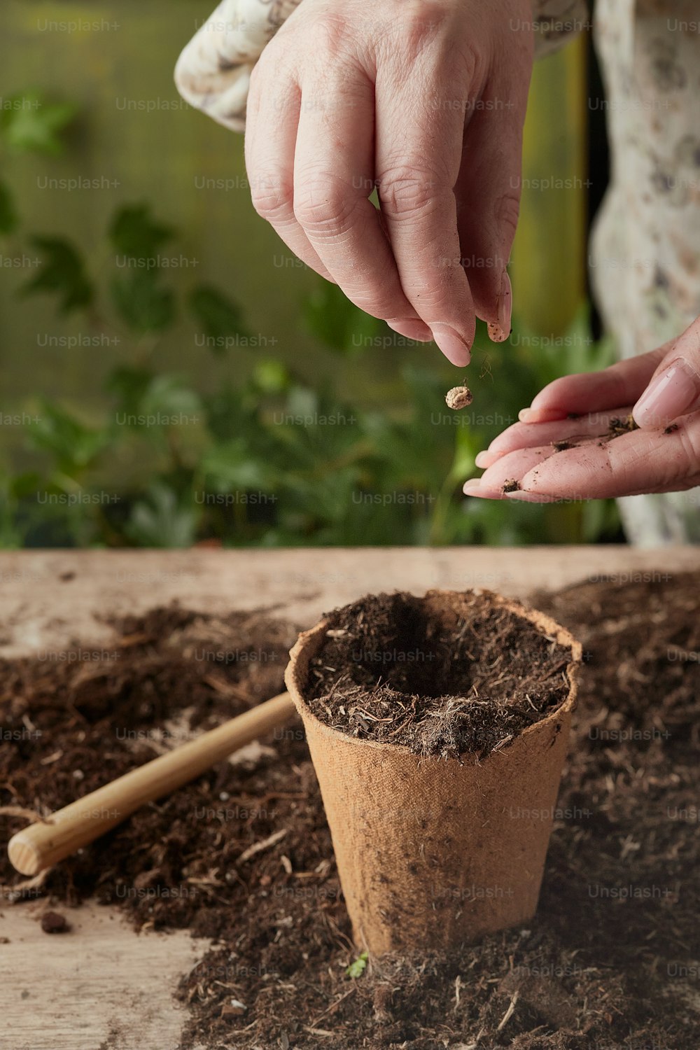 una persona poniendo semillas en una planta en maceta