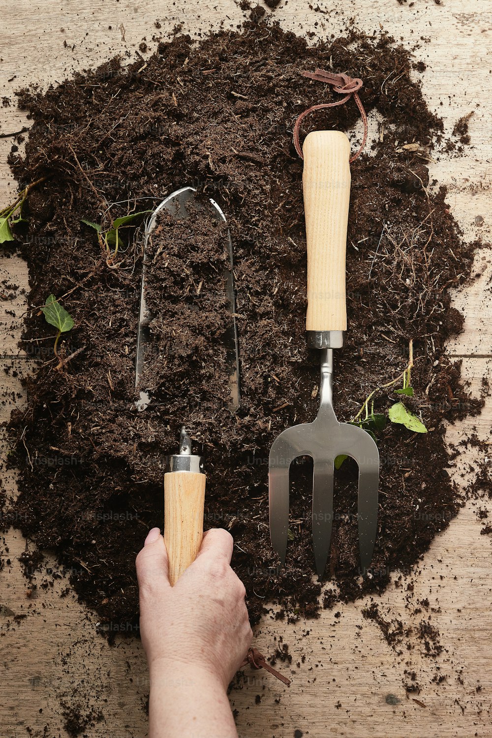 a person holding a garden tool in the dirt