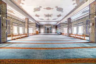 Una grande stanza con molte finestre e un tappeto sul pavimento