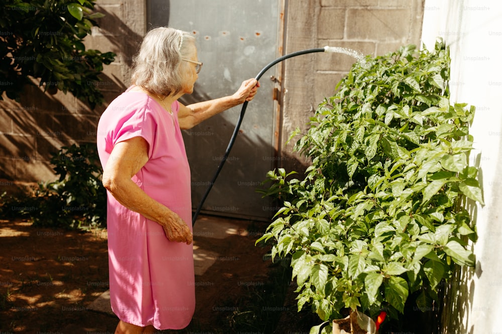 Una mujer con un vestido rosa está regando plantas