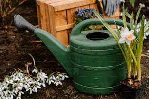 a green watering can with flowers in it