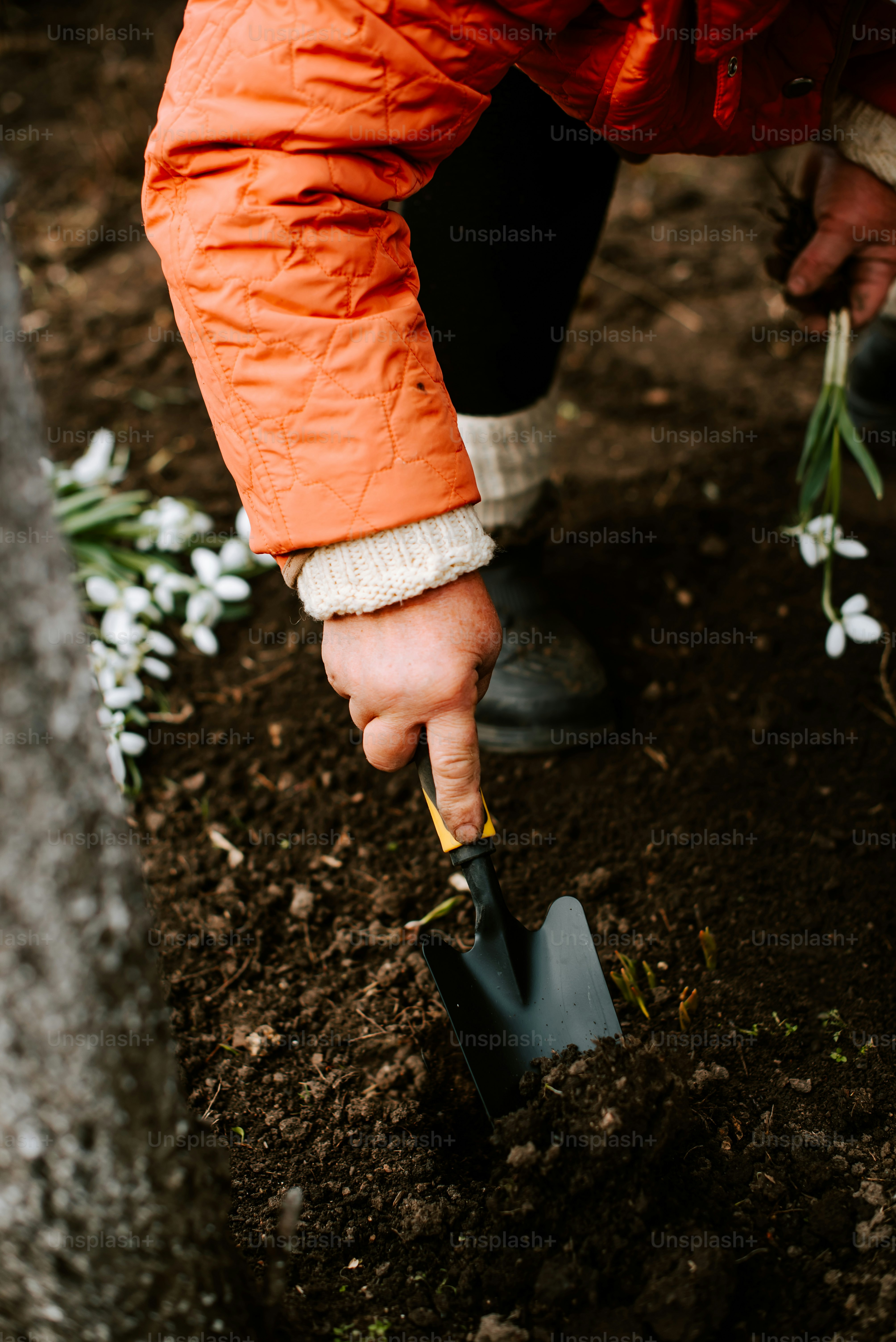 Eine Person gräbt mit einer Schaufel im Dreck