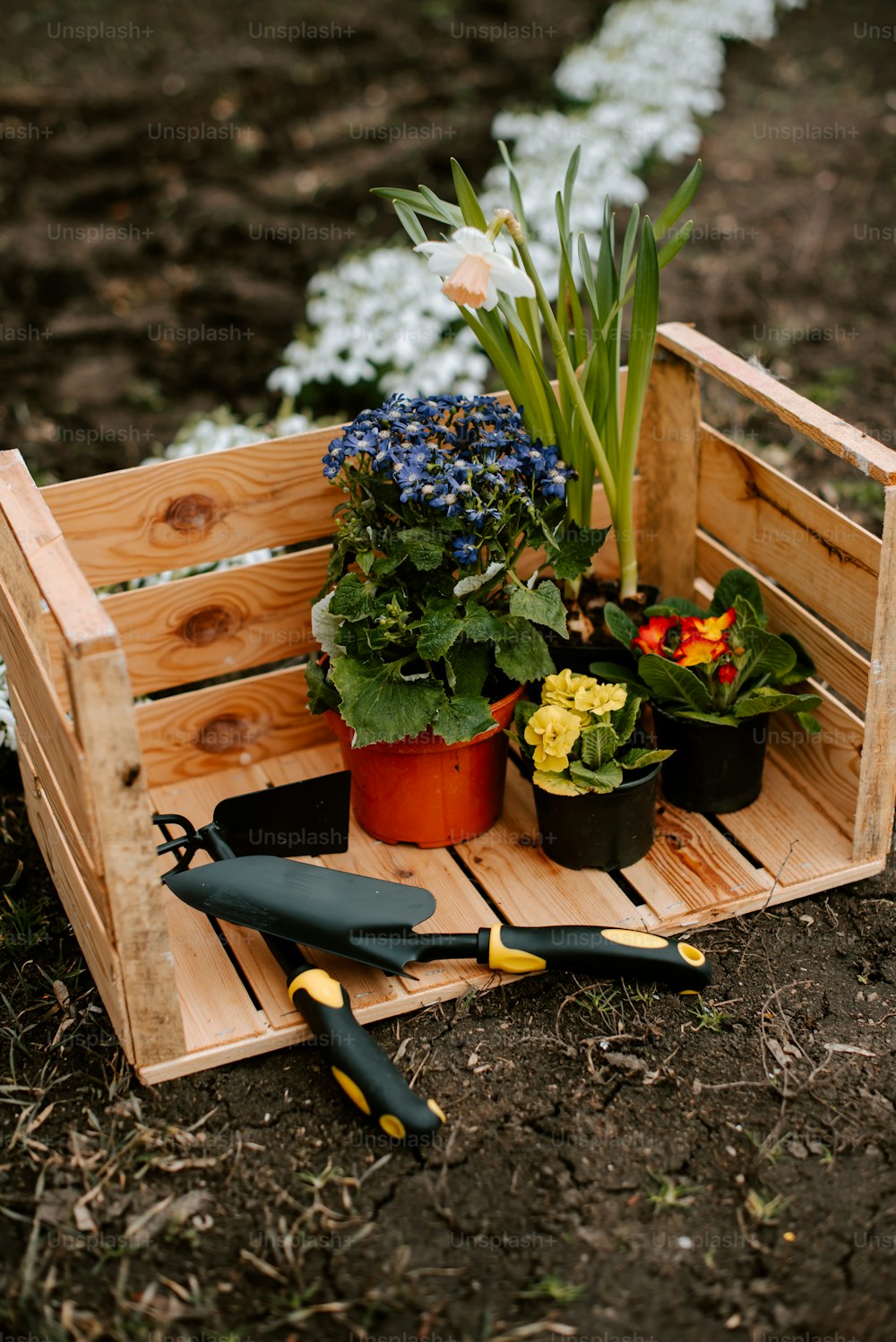 a wooden crate filled with flowers and gardening tools