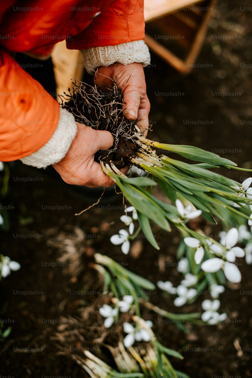 una persona sosteniendo un ramo de flores en sus manos