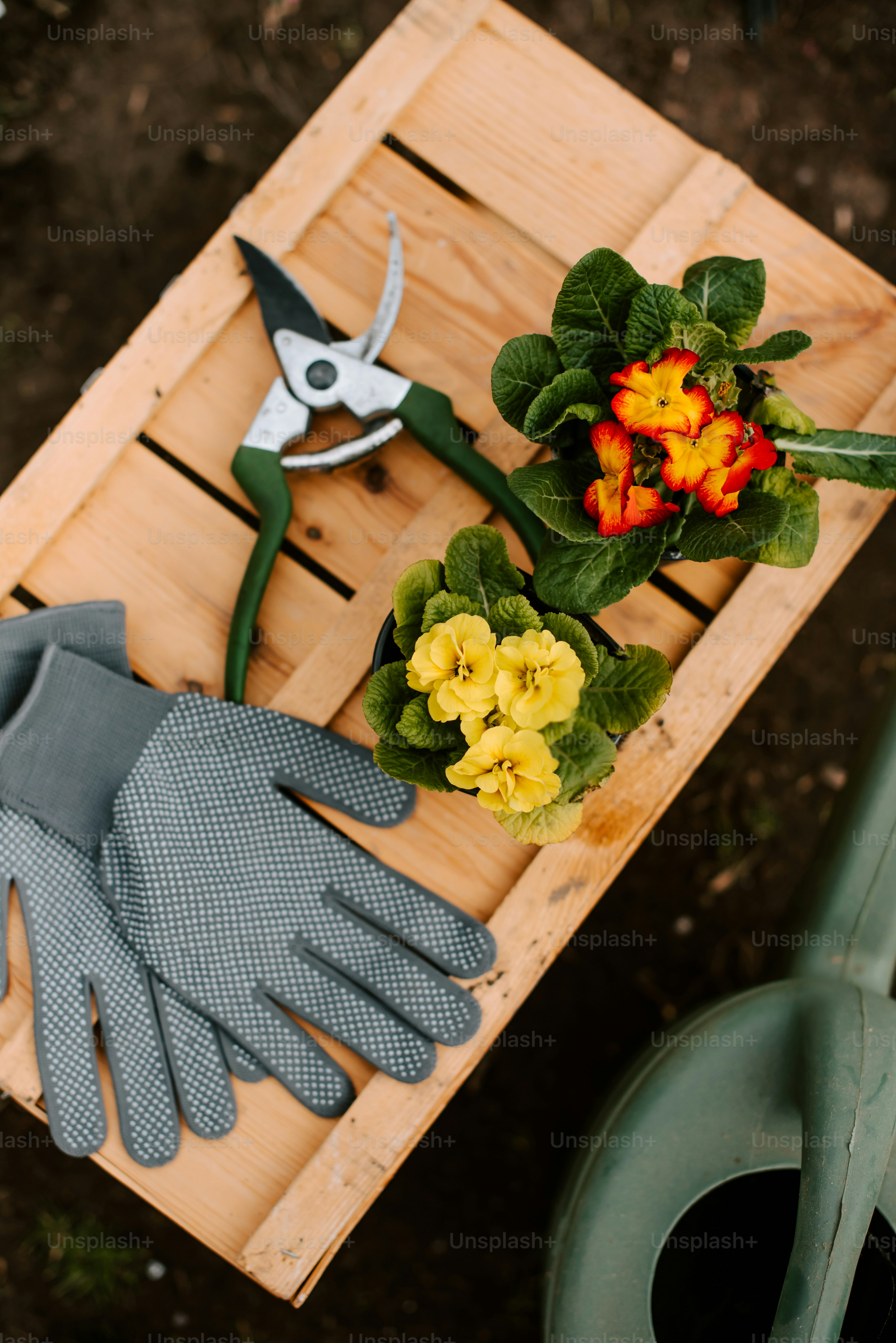 una mesa de madera cubierta con herramientas de jardinería y flores