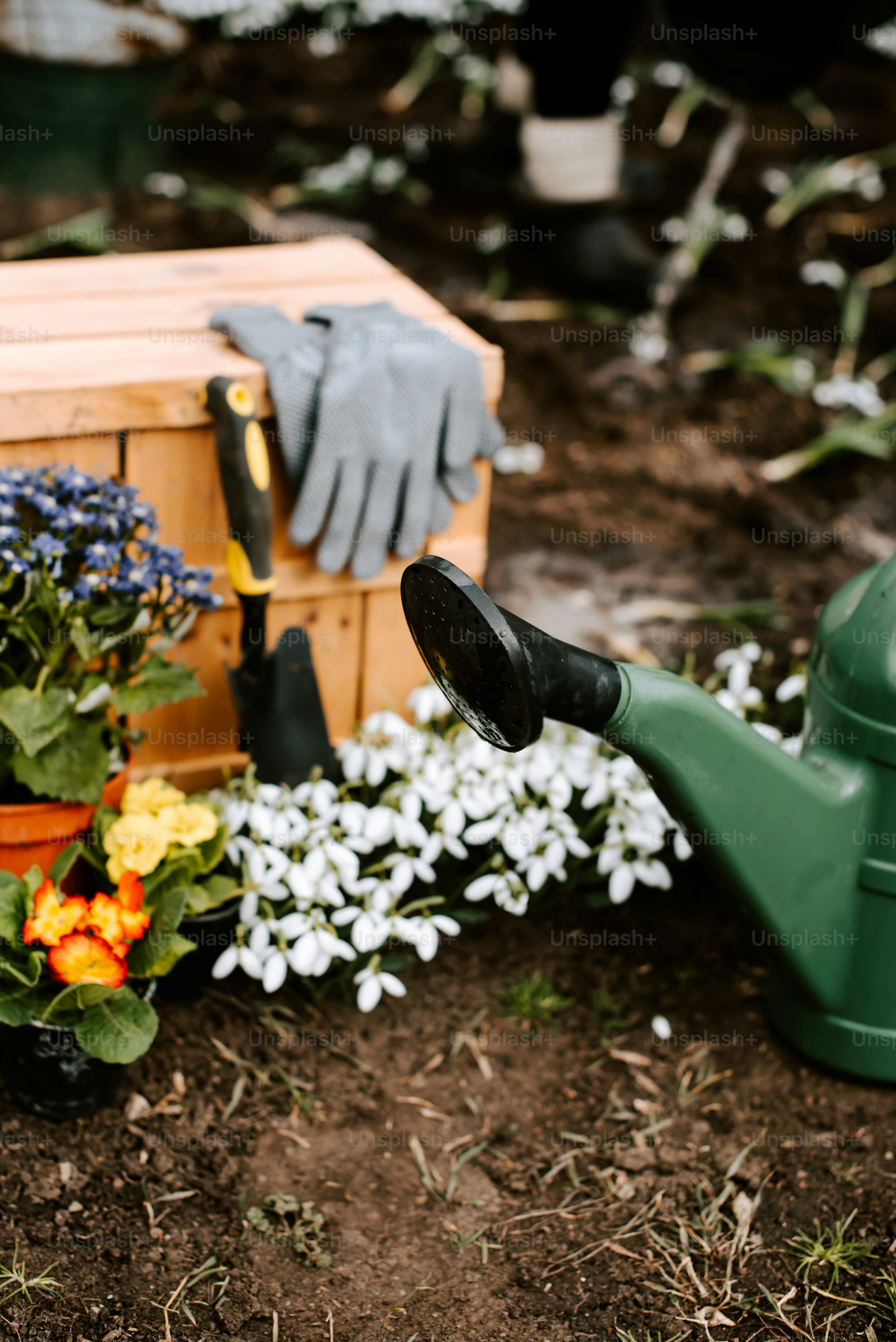 un jardín con flores y equipos de jardinería en el suelo