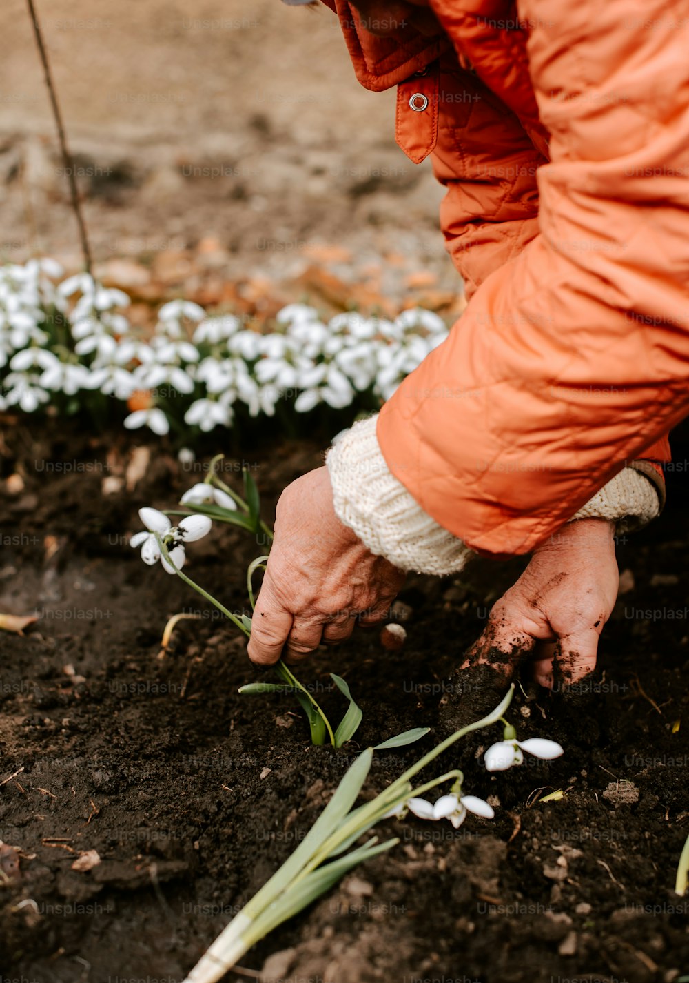Eine Person in einer orangefarbenen Jacke pflanzt Blumen