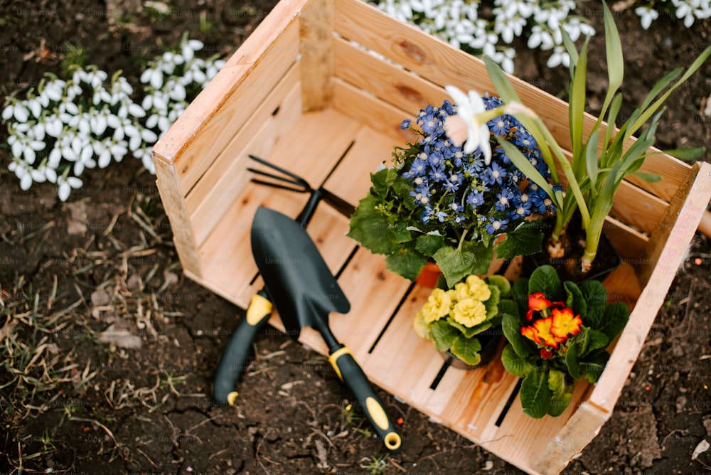una caja de madera llena de flores y herramientas de jardinería