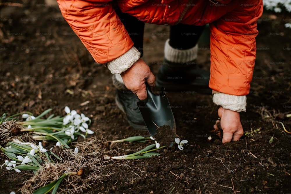 a person digging in the dirt with a shovel