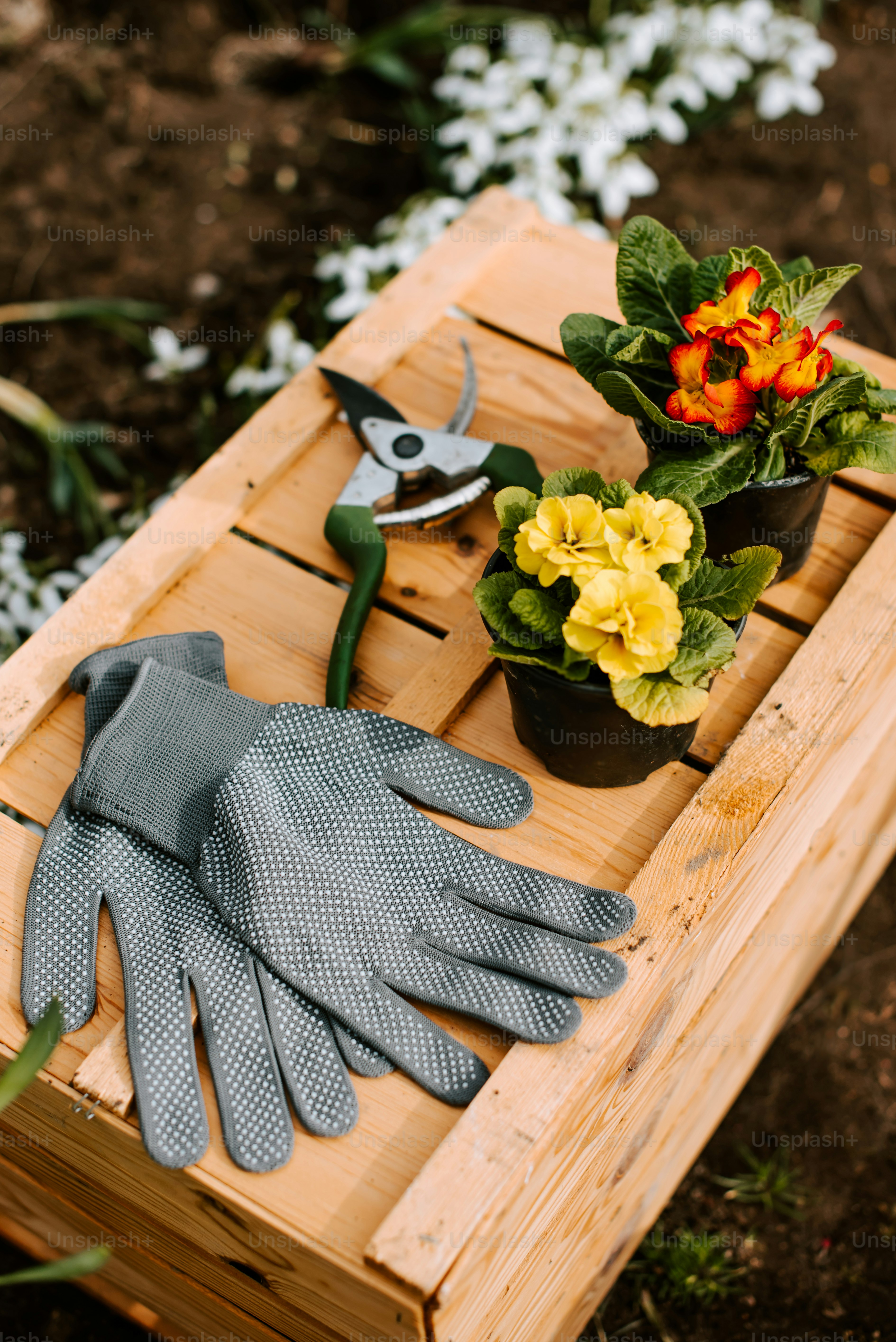 gardening tools and flowers on a wooden crate
