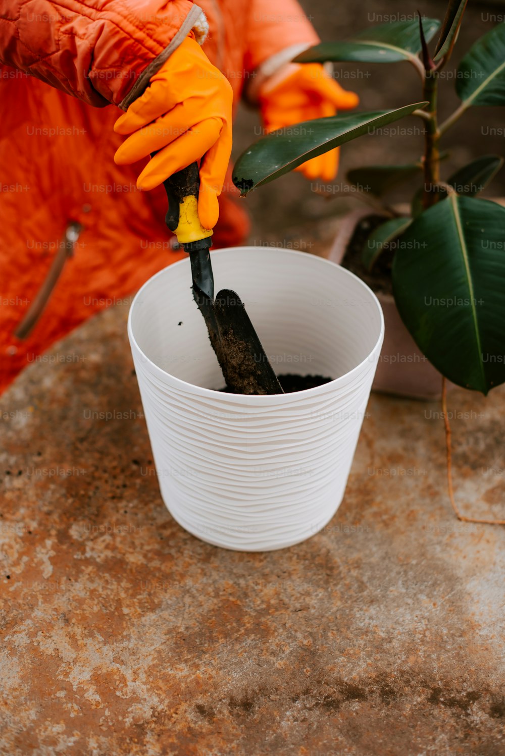 a person in an orange jacket holding a plant in a white cup