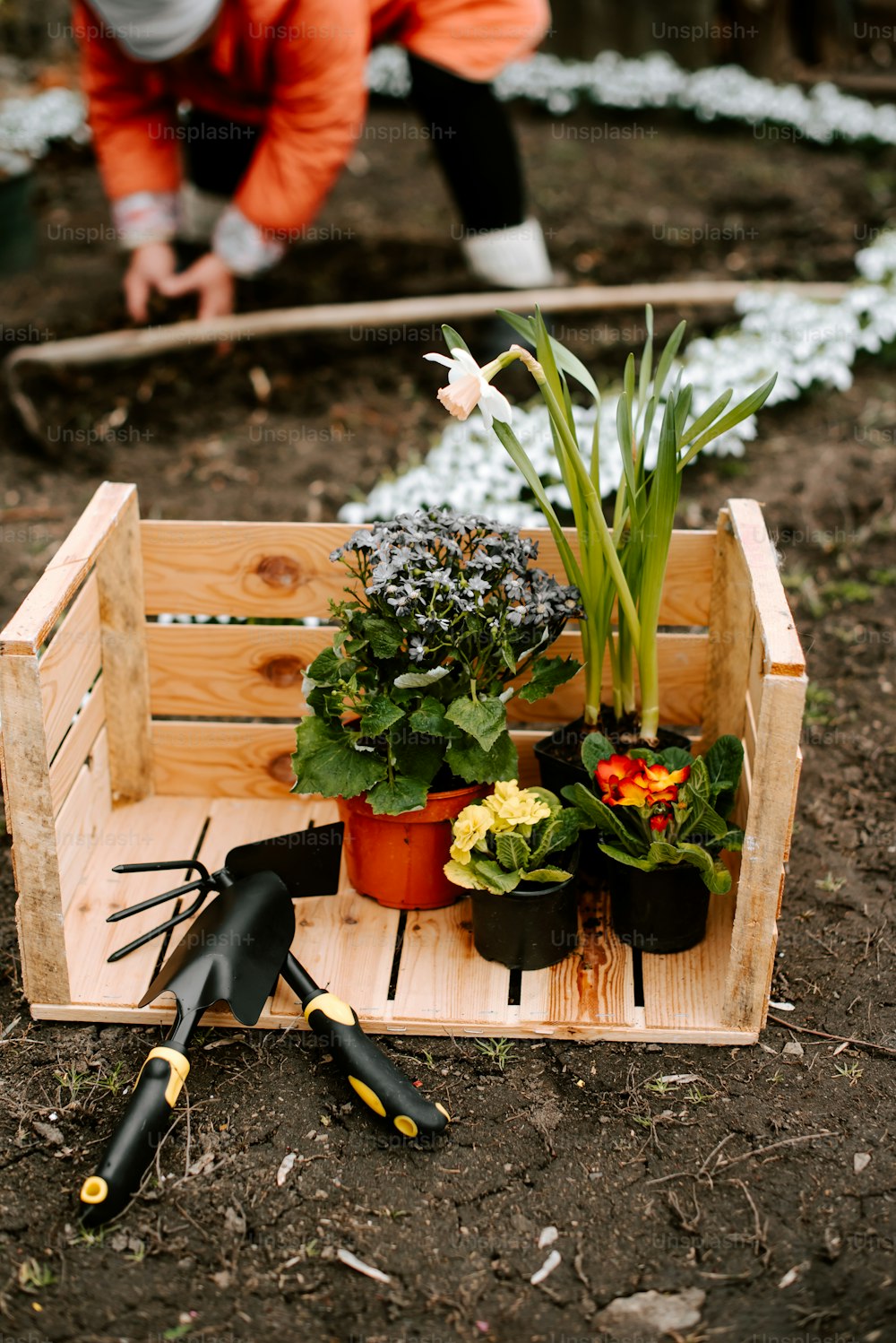 a wooden crate filled with plants and gardening tools