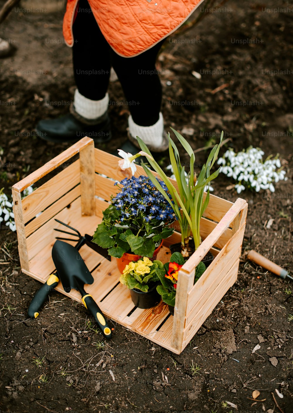 a wooden crate filled with flowers and gardening utensils