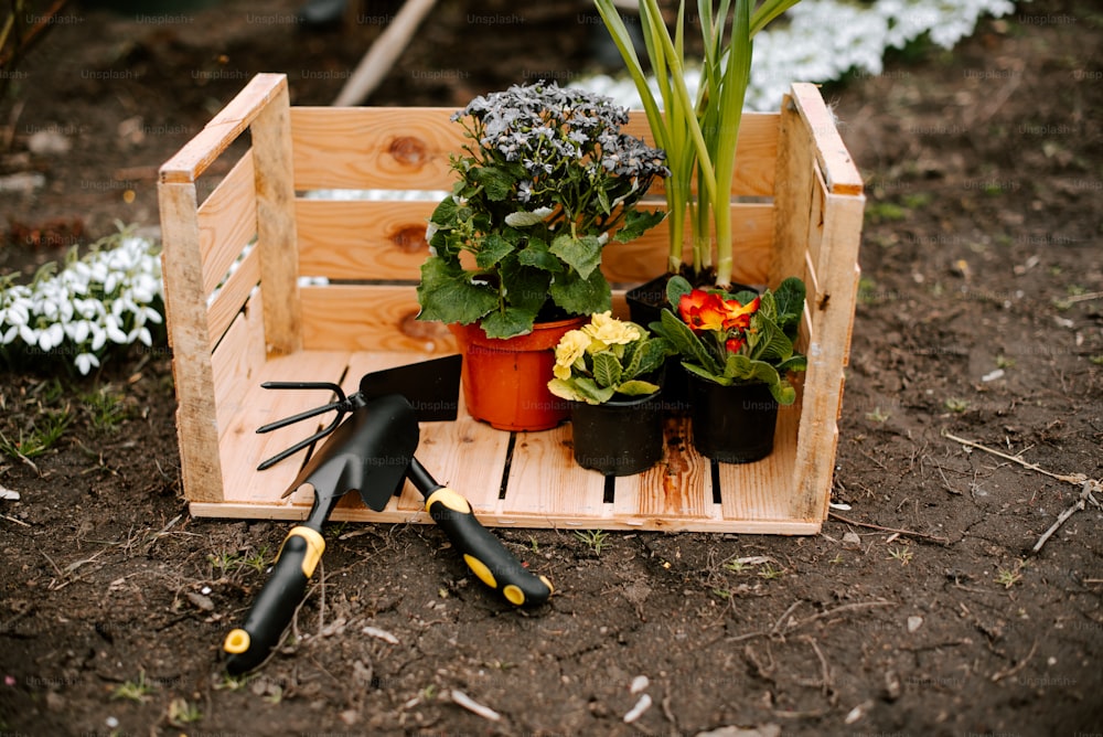 a wooden crate filled with potted plants and gardening utensils