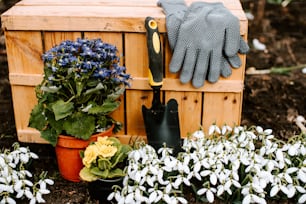 uma caixa de jardim com flores e luvas de jardinagem