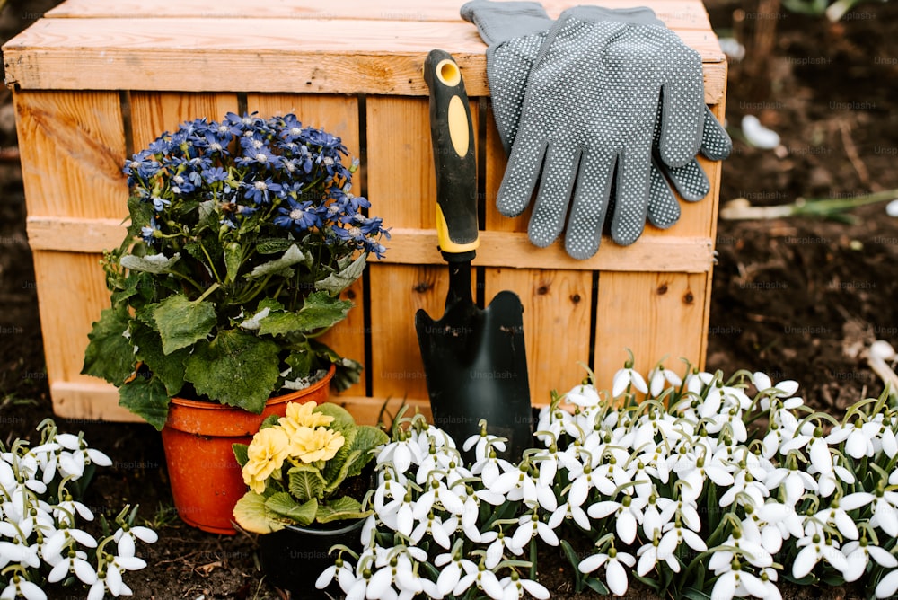 a garden box with flowers and gardening gloves
