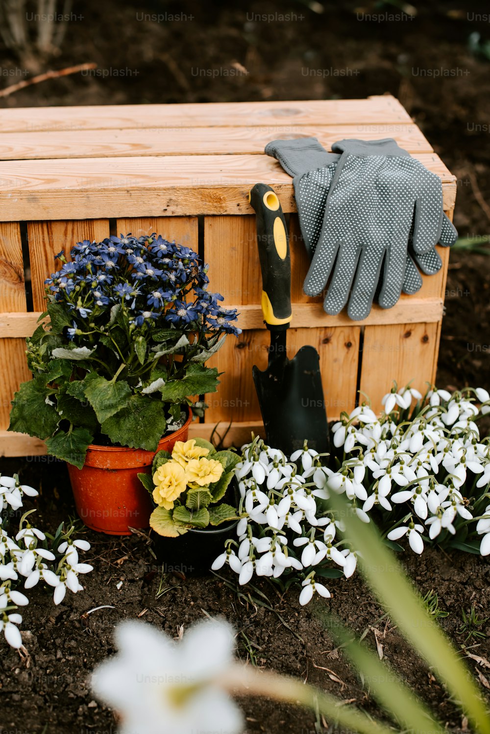 a wooden box with flowers and gardening tools in it
