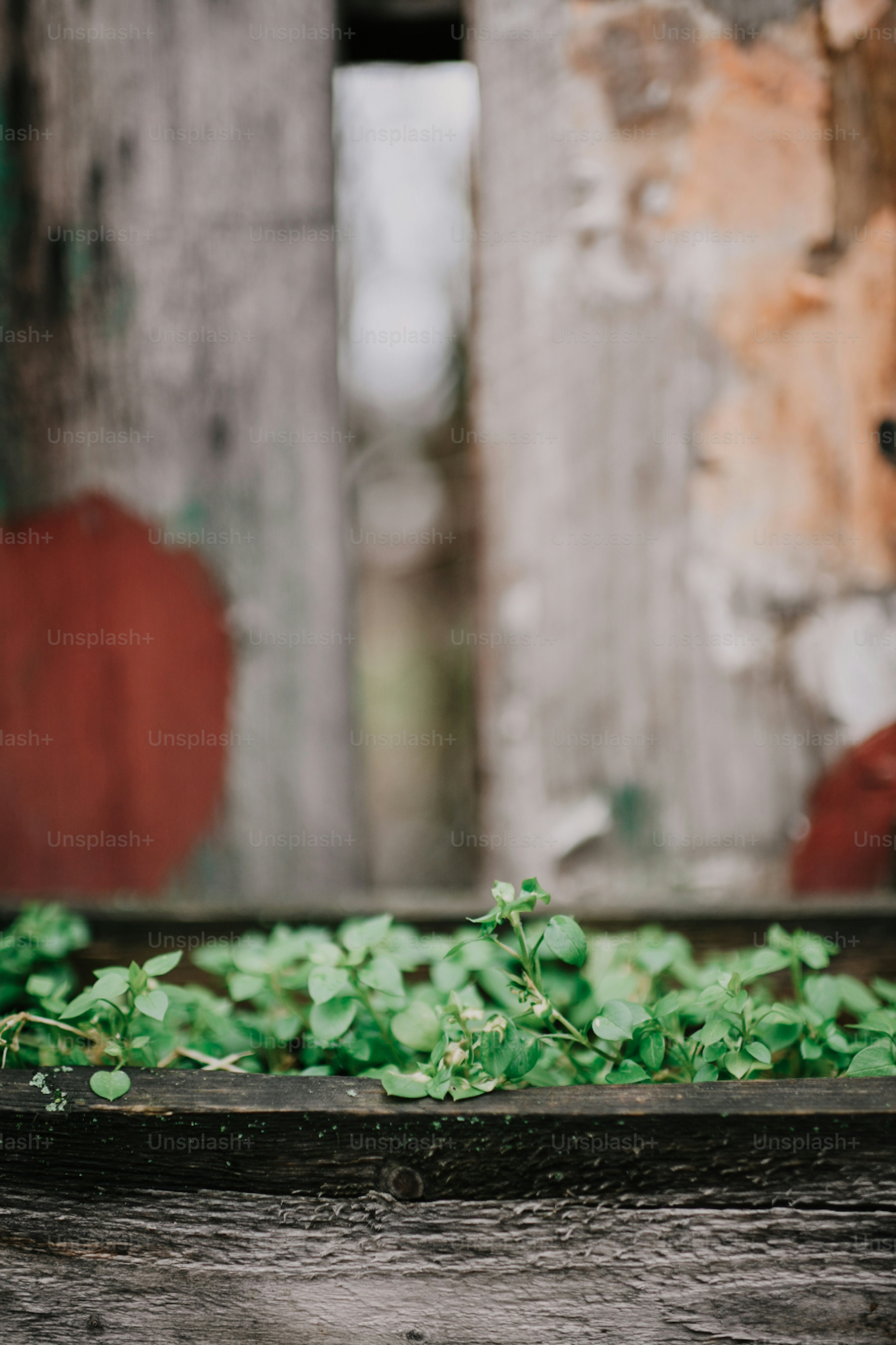 Green Urban Pictures | Download Free Images on Unsplash