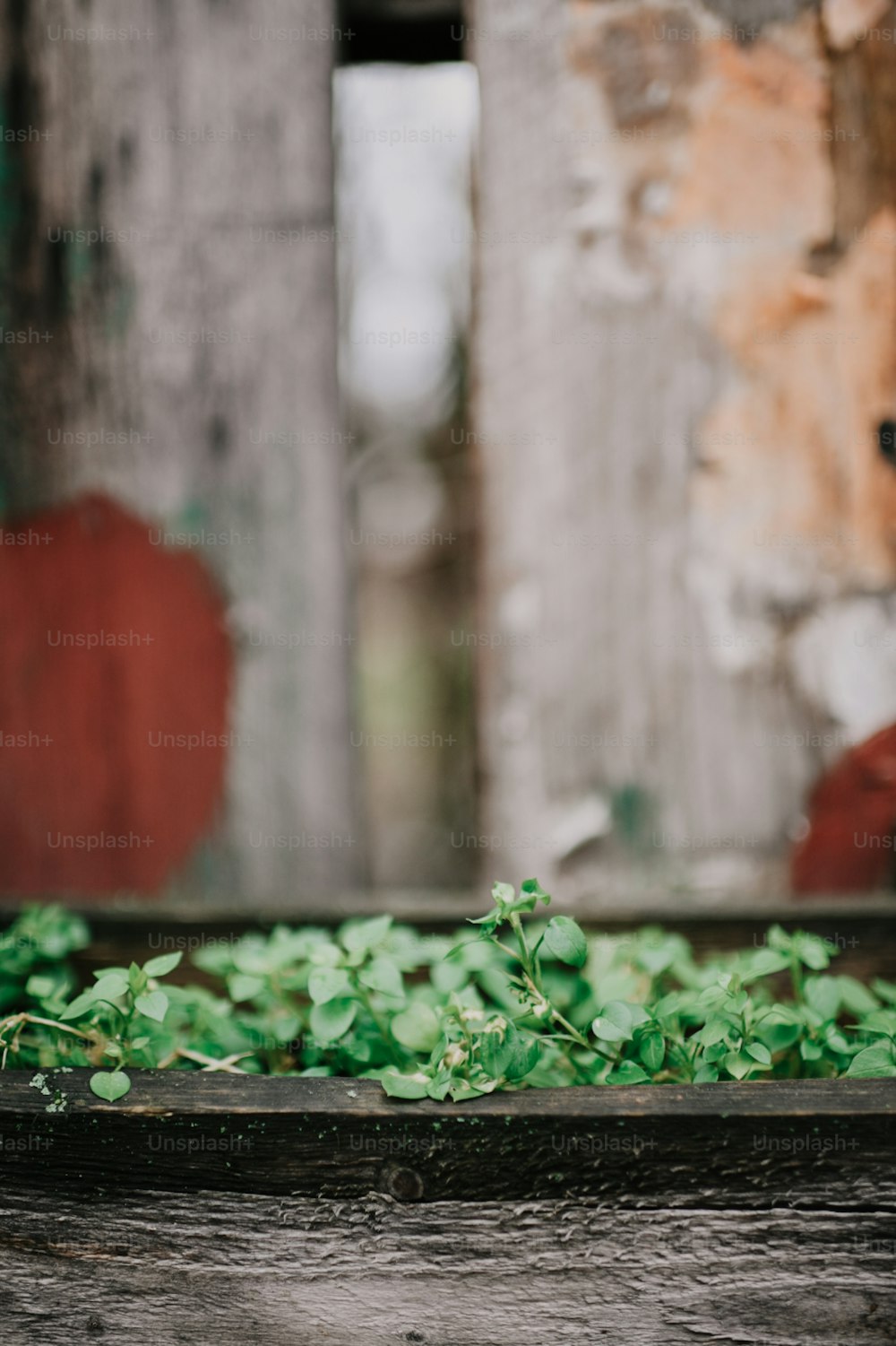 a wooden box filled with green plants next to a building