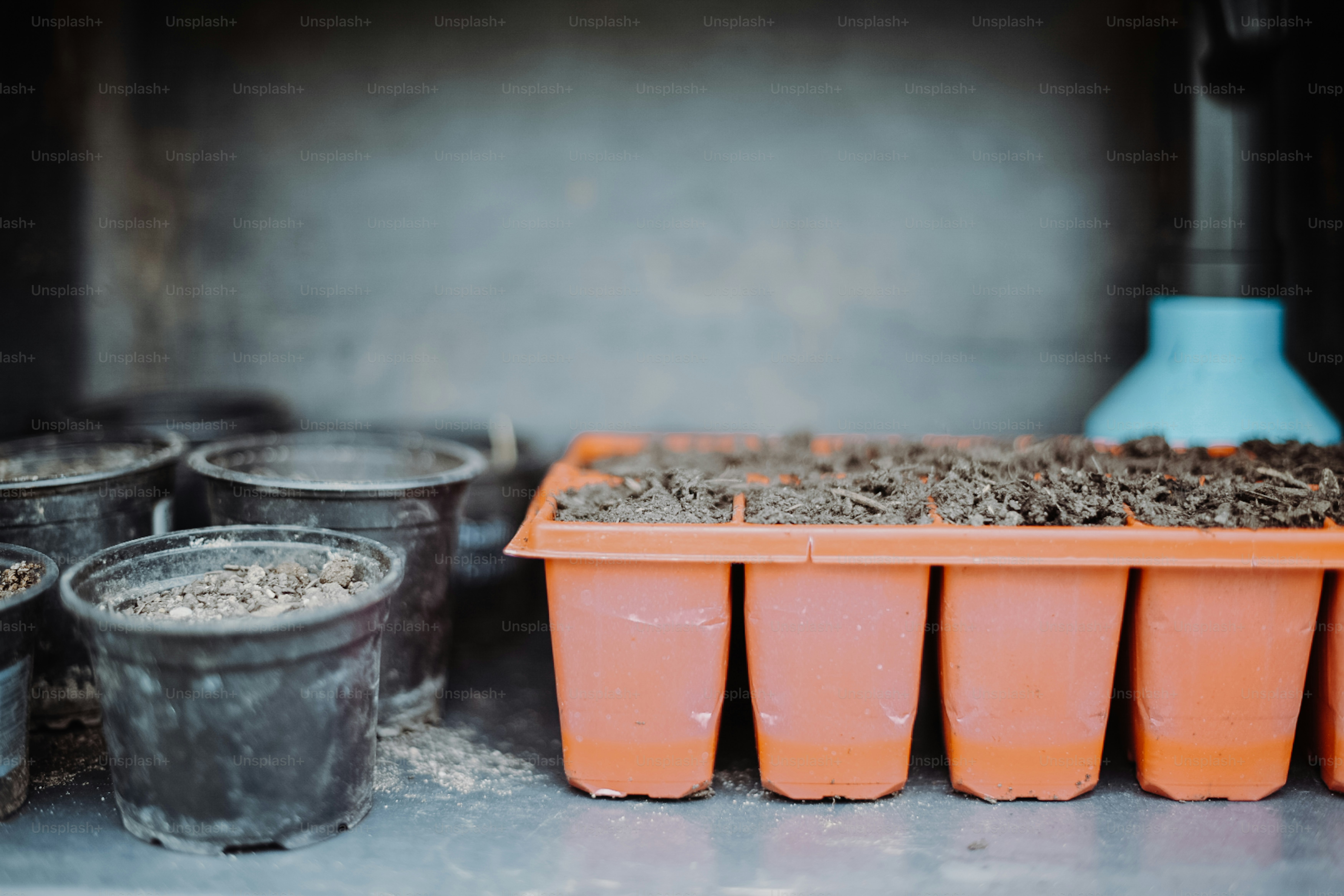 a bunch of buckets of dirt sitting on a table