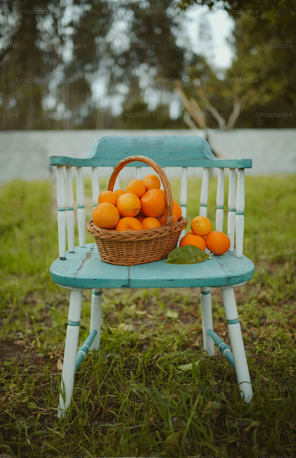 a basket of oranges sitting on top of a blue bench