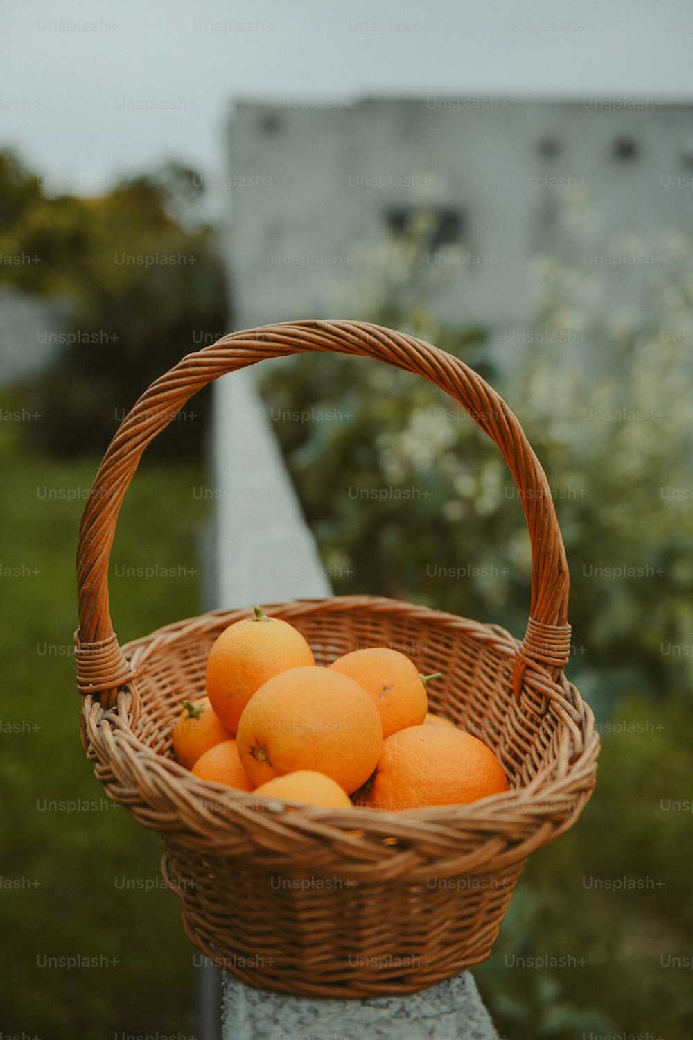 Una cesta de mimbre llena de naranjas sentada en una repisa
