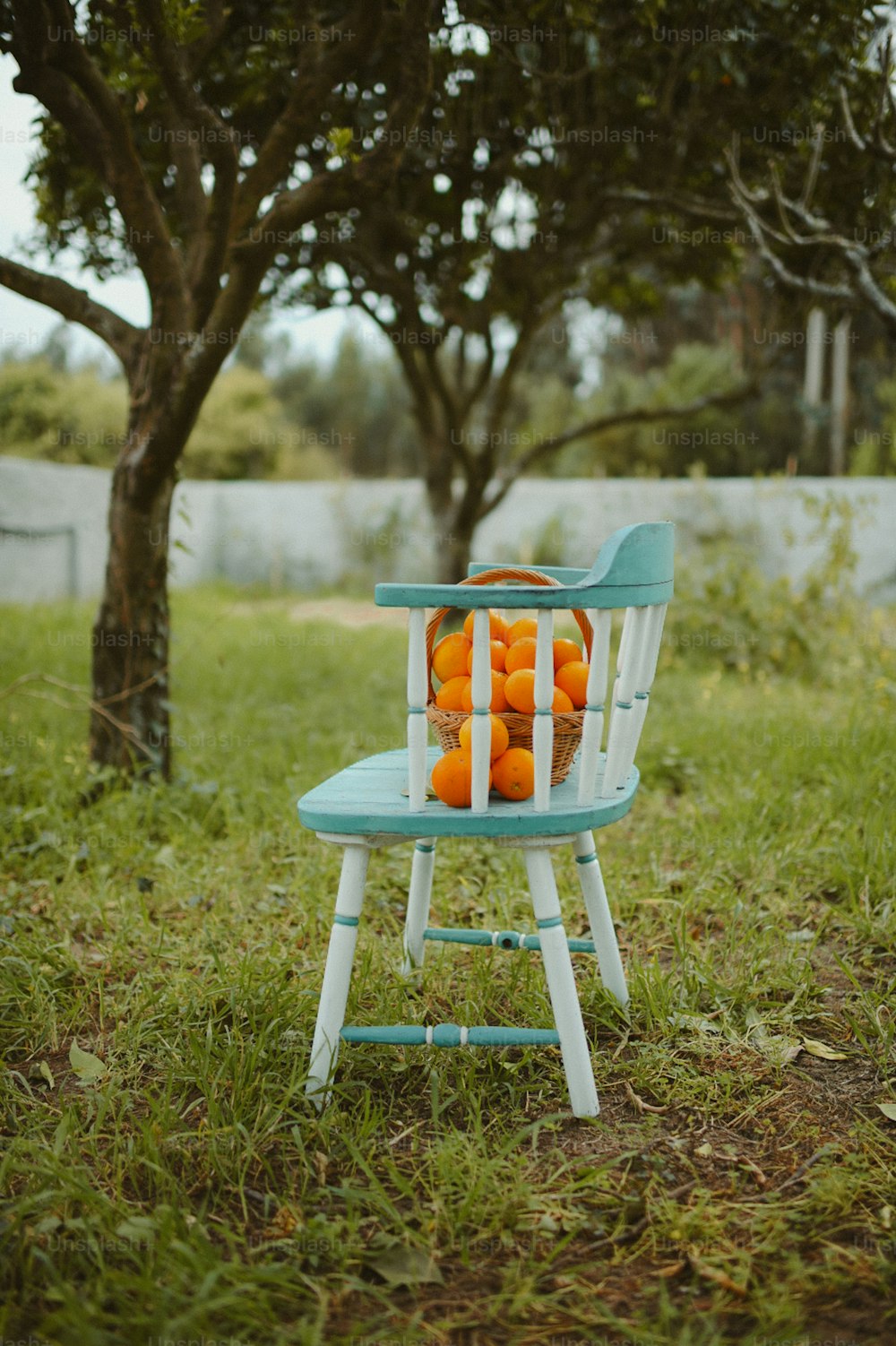 오렌지가 들어있는 파란색과 흰색 의자