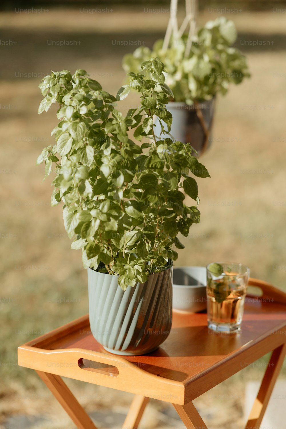 a wooden table topped with a potted plant