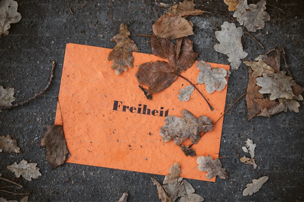 an orange piece of paper with the word freuhei on it