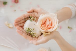 a person holding a flower in their hands