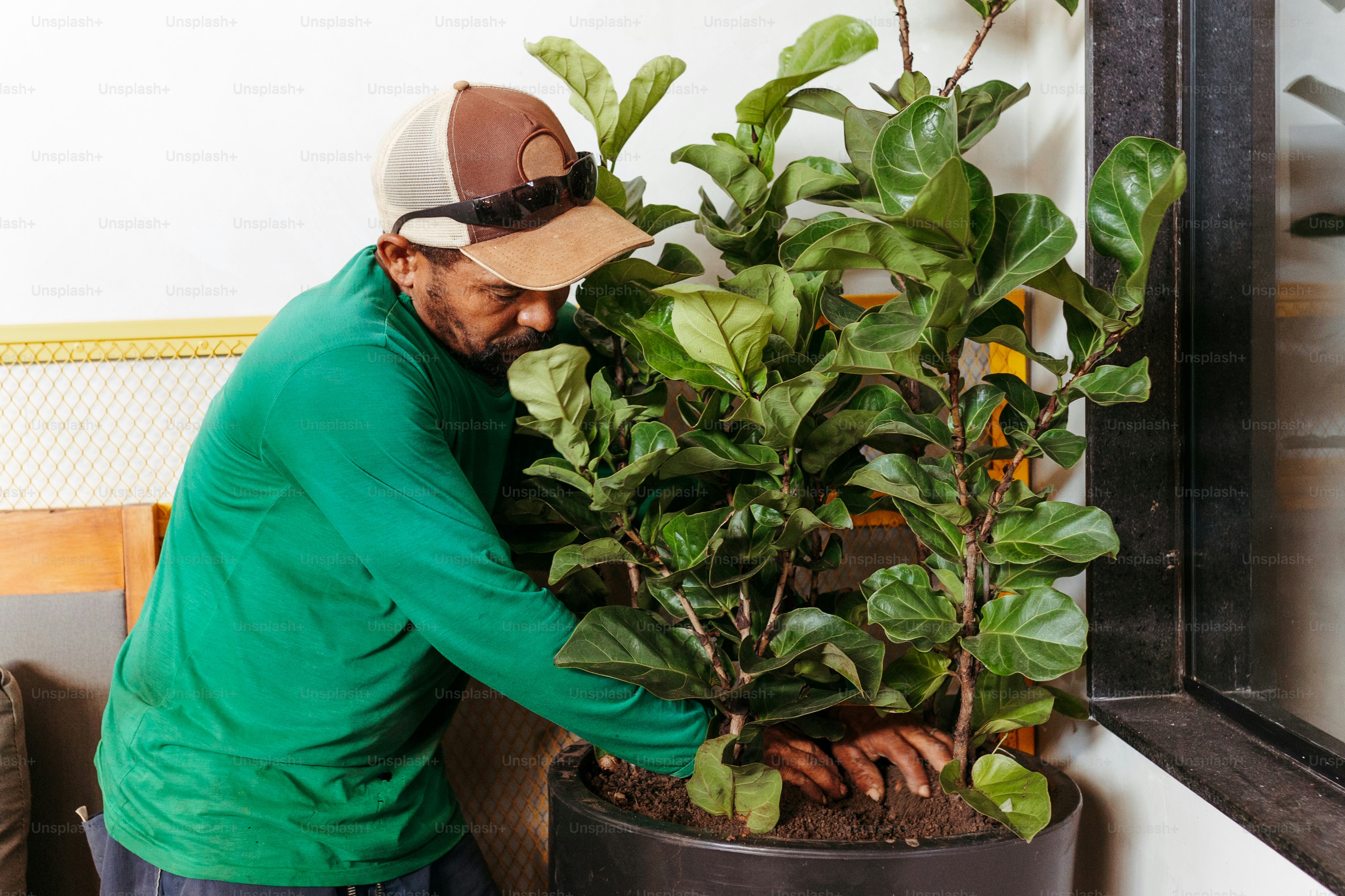 a man in a green shirt is putting a plant in a pot