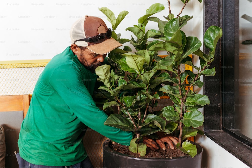 um homem de camisa verde está colocando uma planta em um vaso
