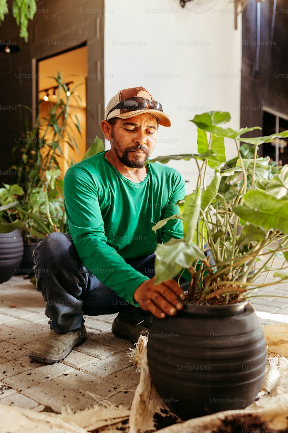 Un hombre arrodillado junto a una planta en maceta