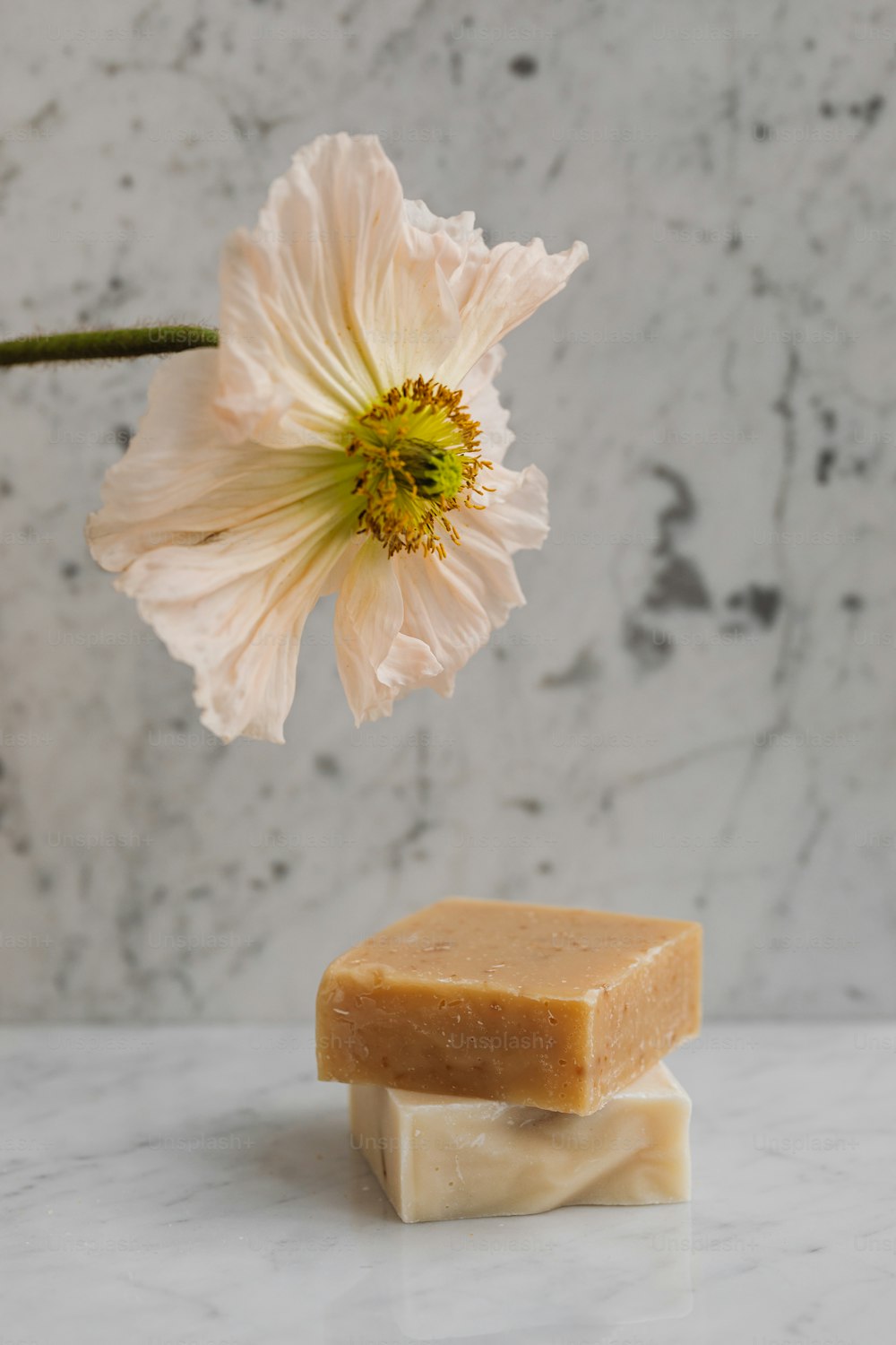 a soap bar sitting on top of a counter next to a flower