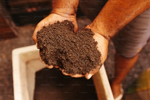 a person holding a handful of dirt in their hands