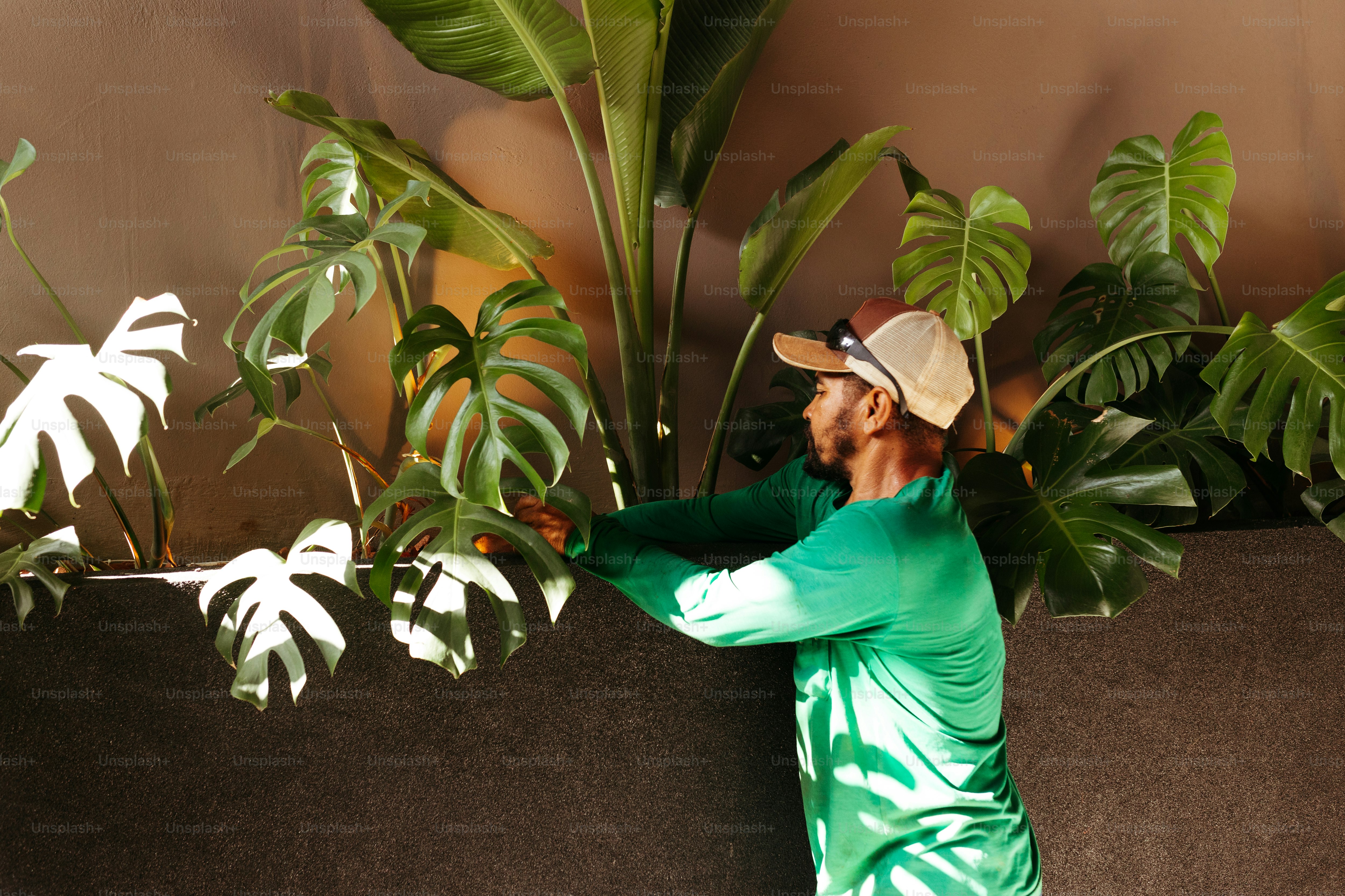 Un hombre con una camisa verde y un sombrero parado junto a una planta