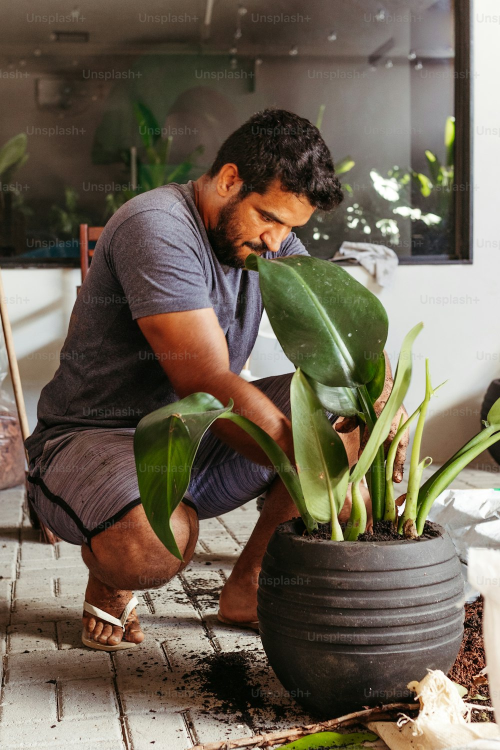 Un homme agenouillé à côté d’une plante en pot