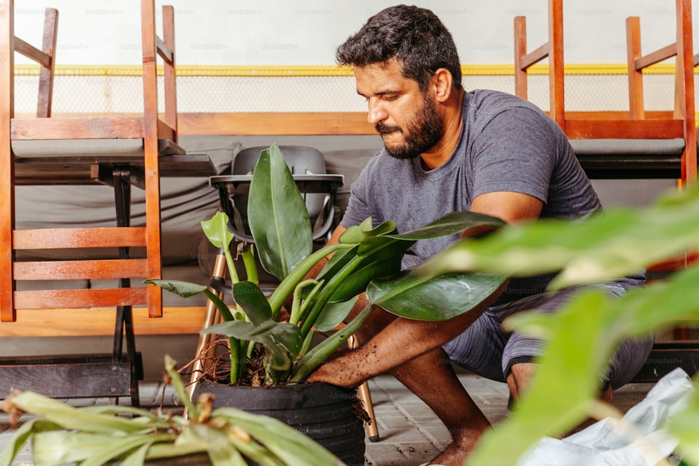 Un homme agenouillé à côté d’une plante en pot