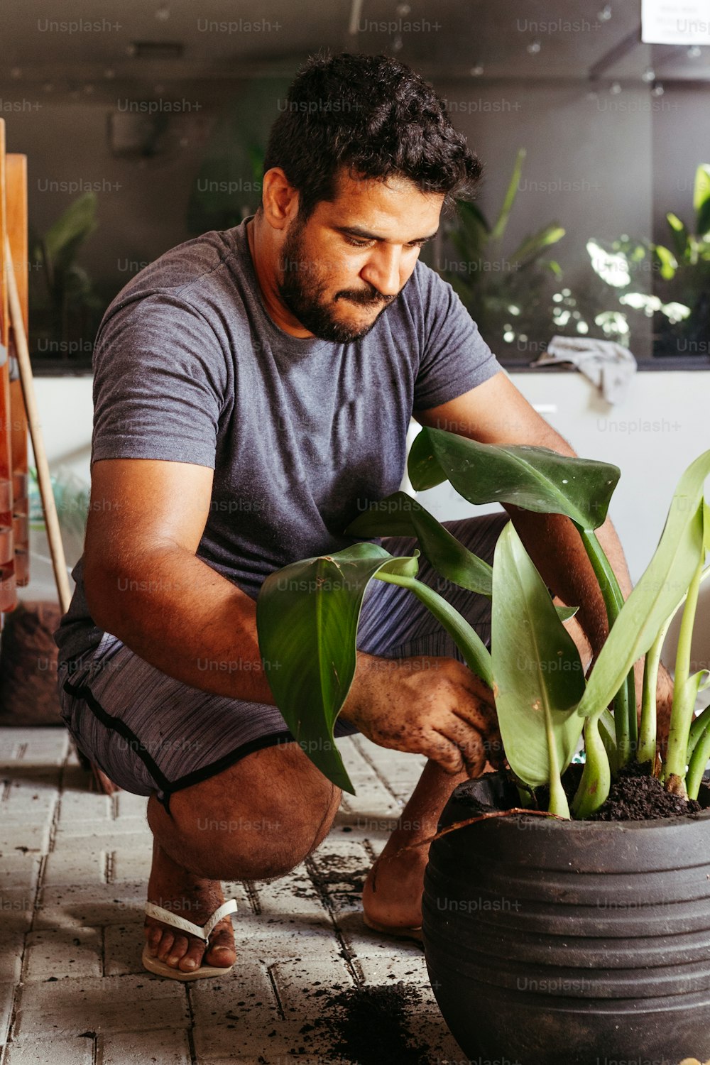 a man kneeling down next to a potted plant
