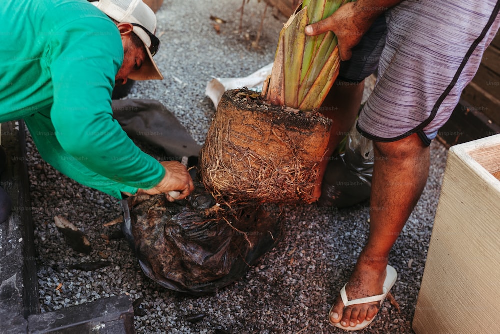 um homem segurando uma planta em um saco ao lado de outro homem