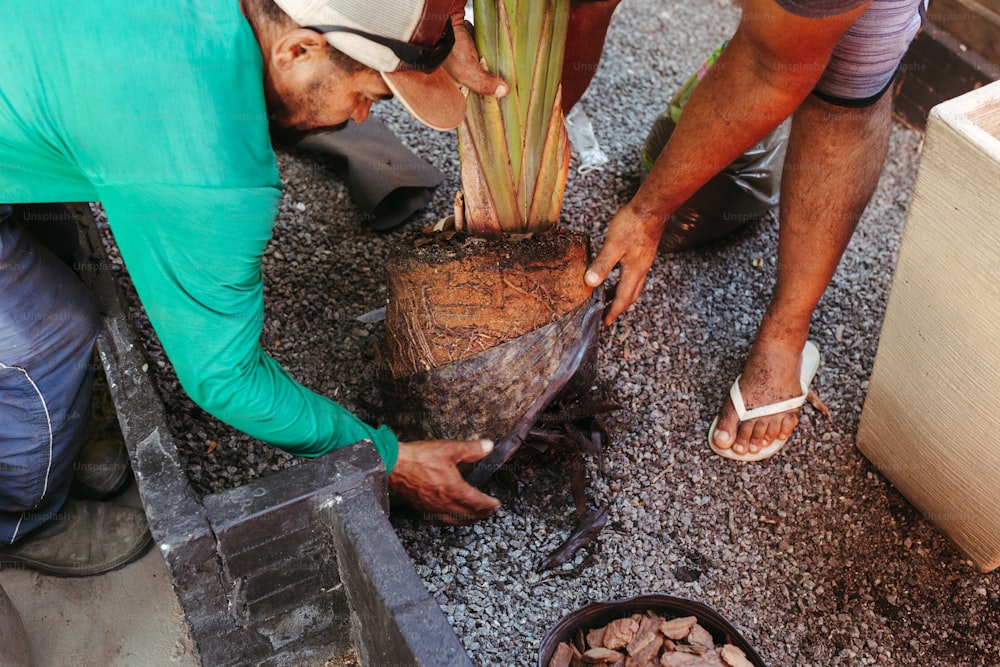 a group of men working on a plant