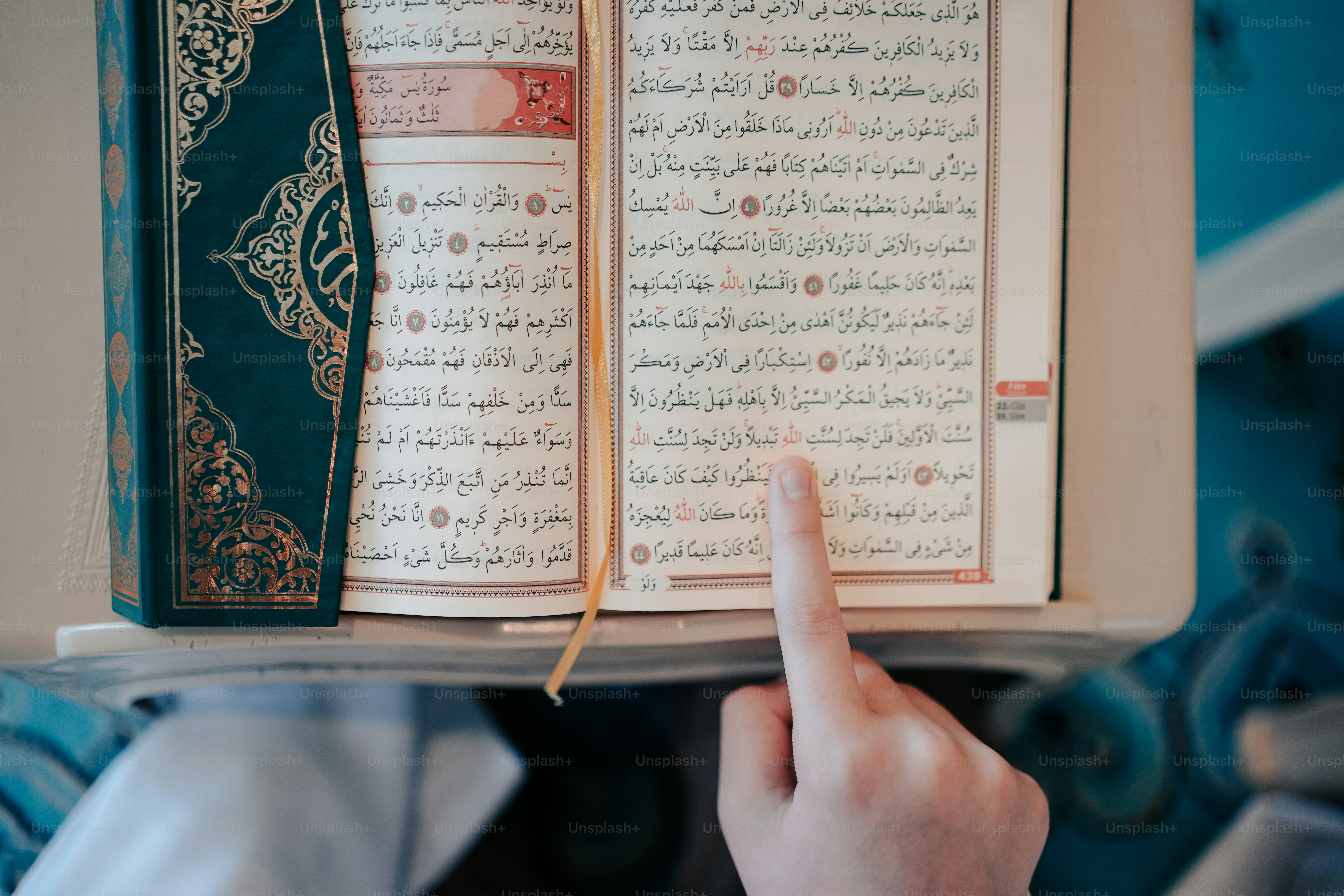 a person pointing at a book with a green cover