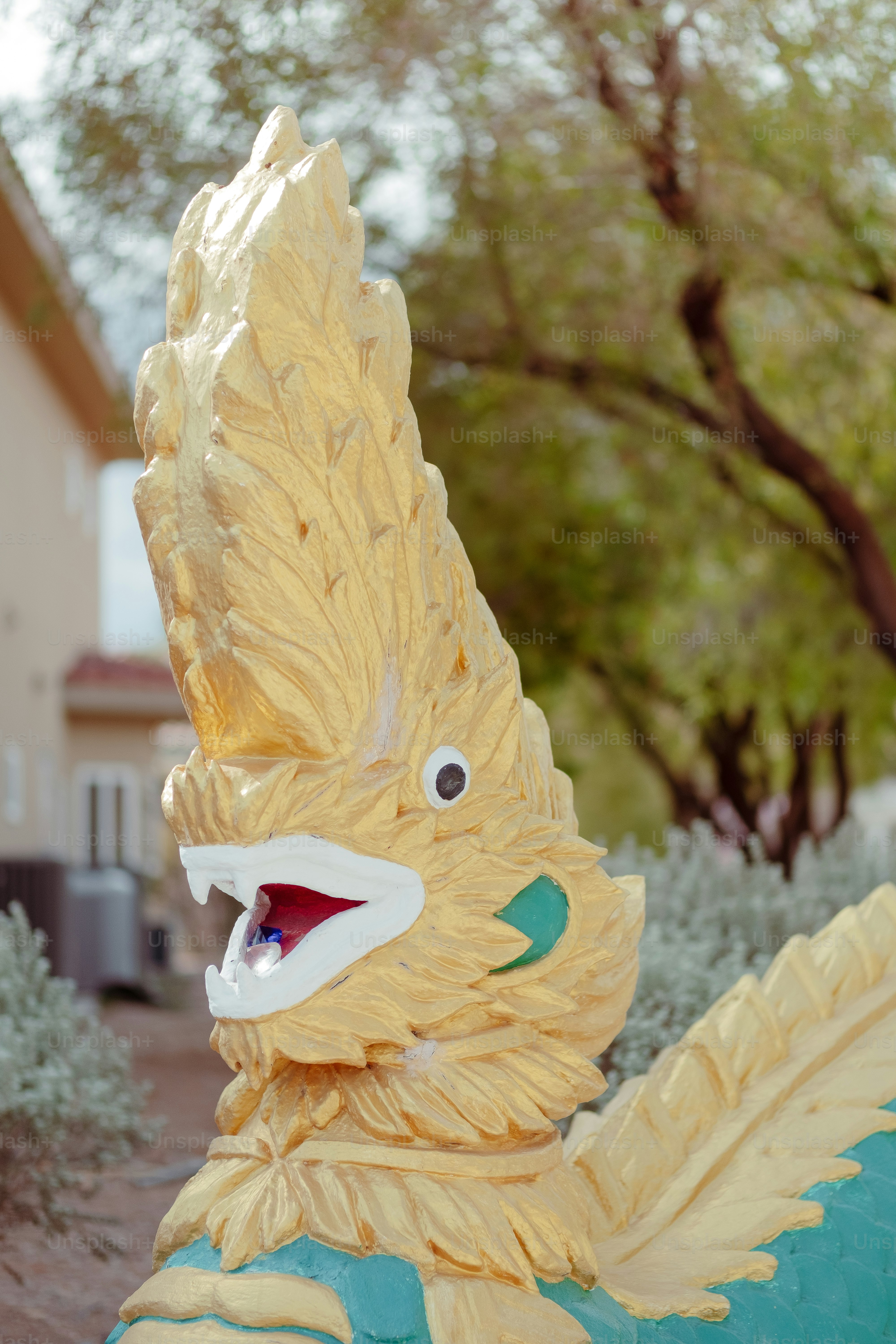 Mindfulness Practicing