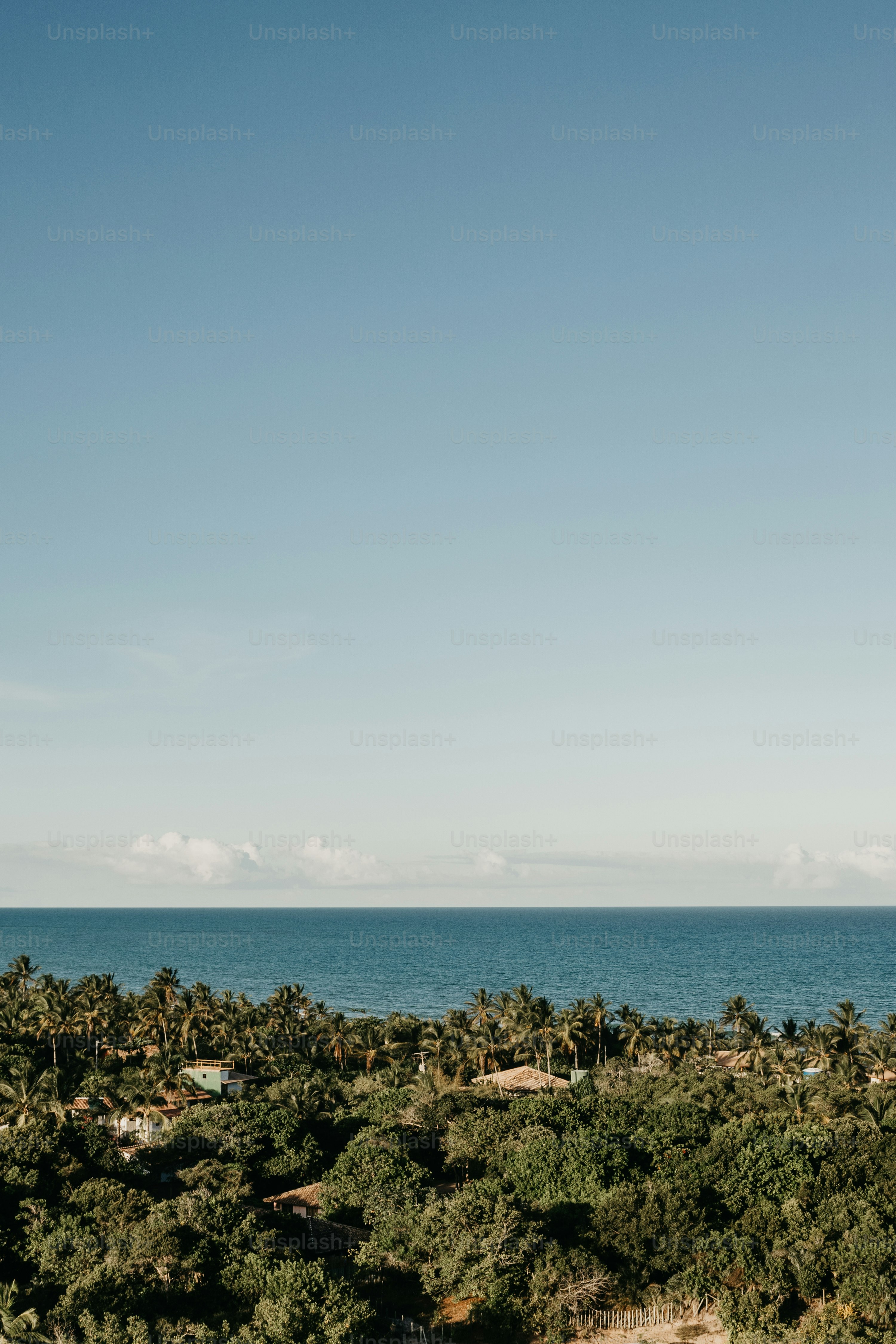 a large body of water surrounded by trees