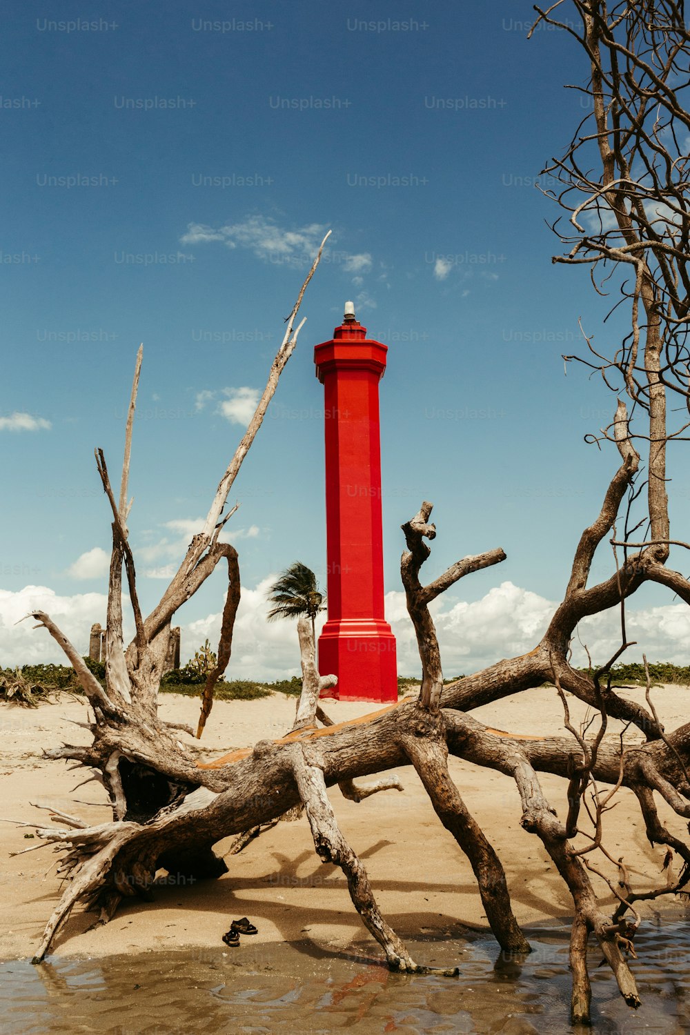 Un faro rojo en una playa de arena junto a árboles muertos