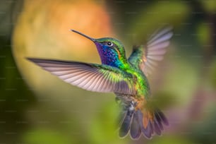 a colorful hummingbird flying through the air