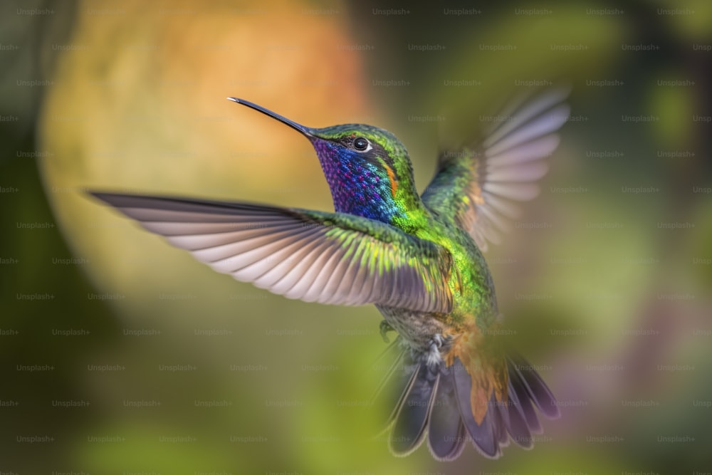 um beija-flor colorido voando pelo ar
